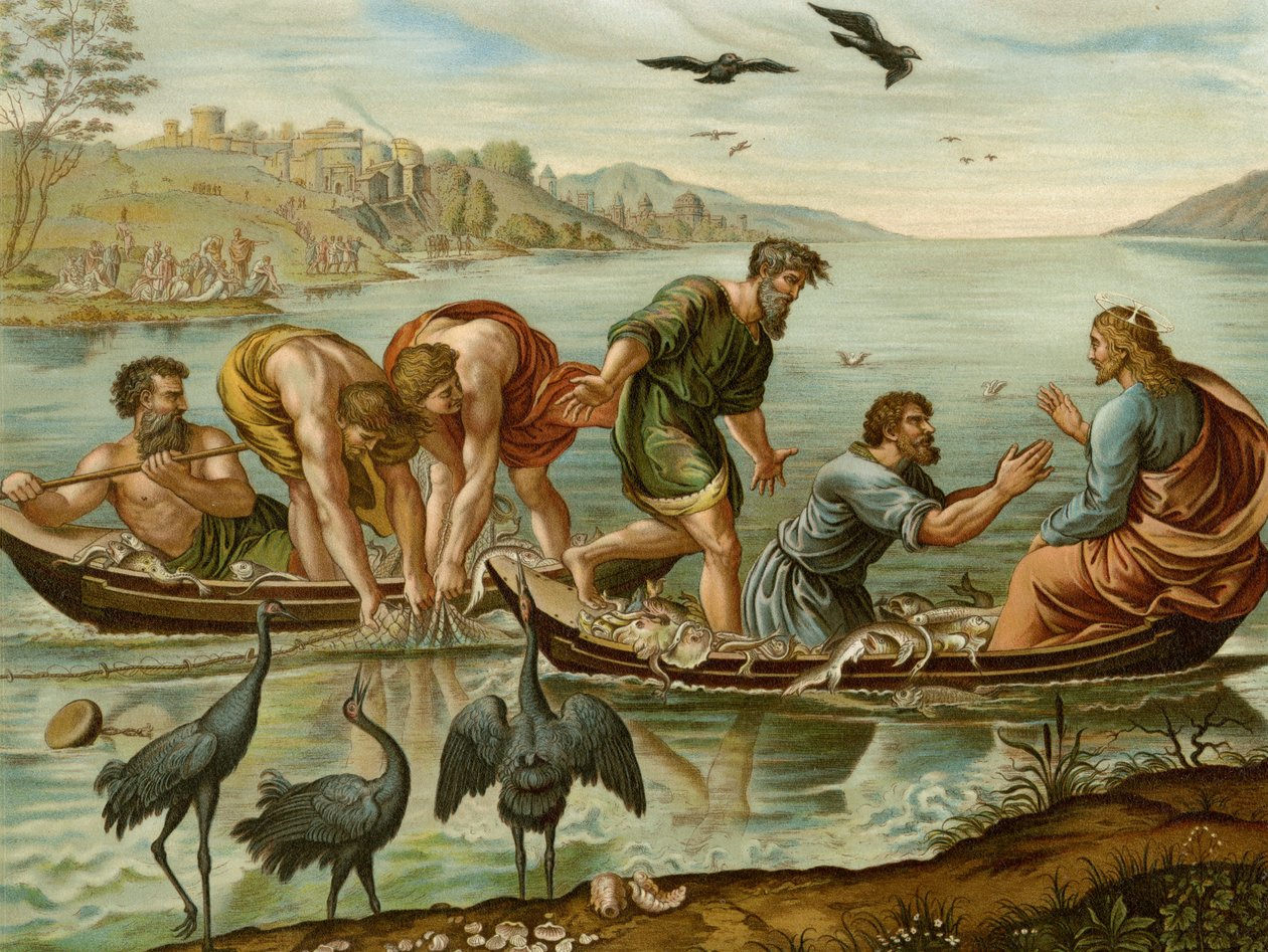 Cudowny Szkic autorstwa after Raphael