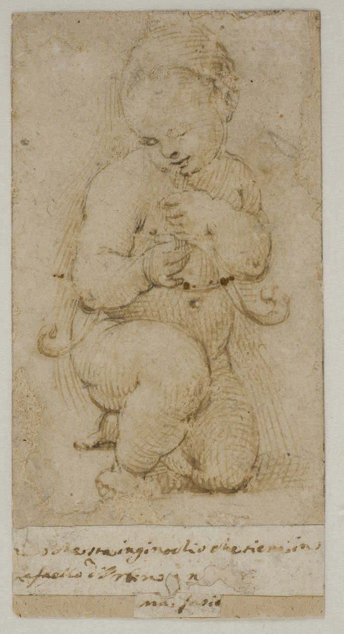 Niemowlę Jan Chrzciciel autorstwa after Raphael