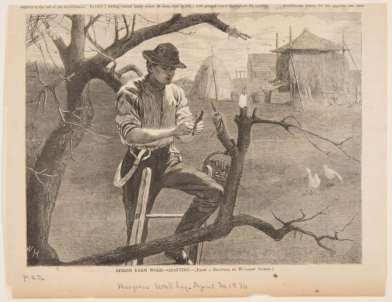 Wiosenna praca na farmie – szczepienie autorstwa after Winslow Homer