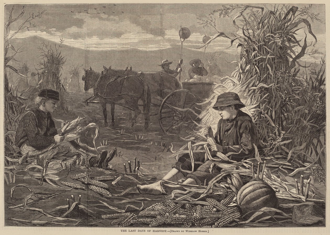 Ostatnie dni żniw autorstwa after Winslow Homer