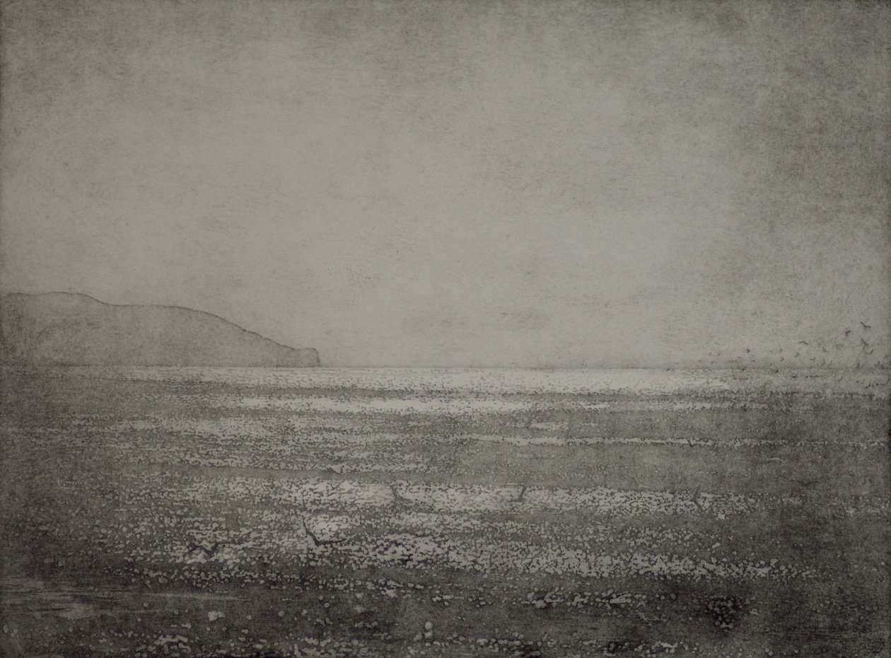 Play, 2017, Akwaforta i akwatinta na papierze autorstwa angus hampel