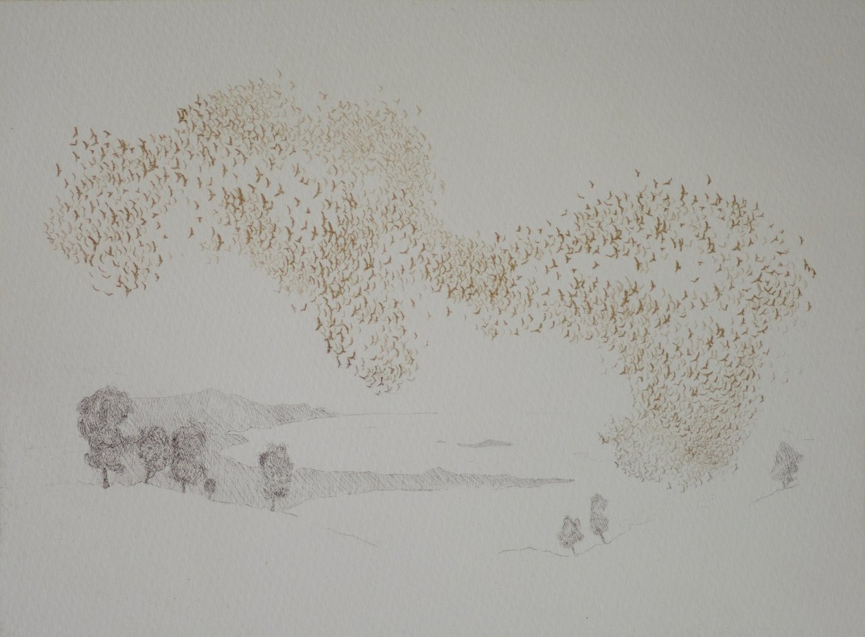 Sunbirds, 2016, akwaforta i malowanie ręczne na papierze autorstwa angus hampel