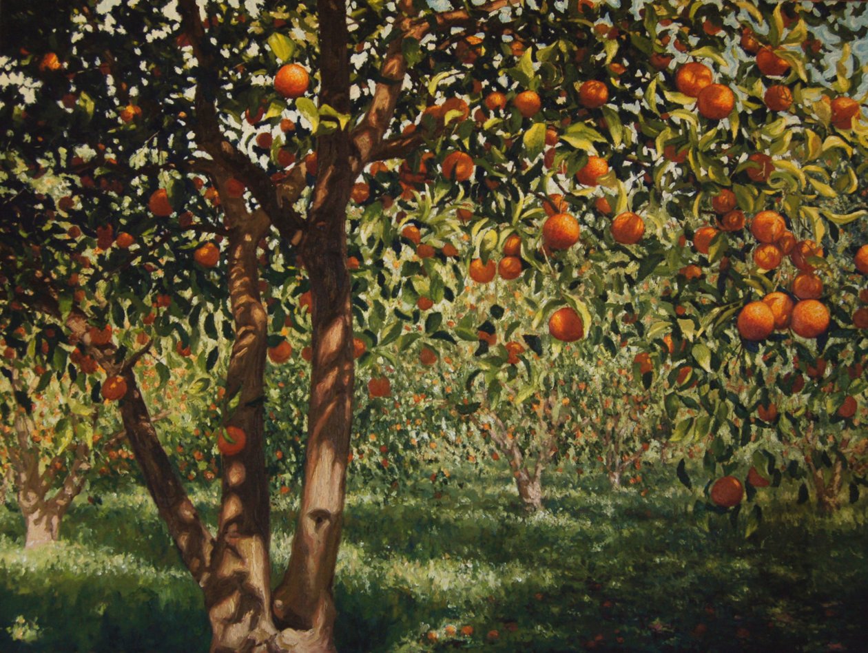 Cisza pod pomarańczami II, 2012, olej na płótnie autorstwa angus hampel
