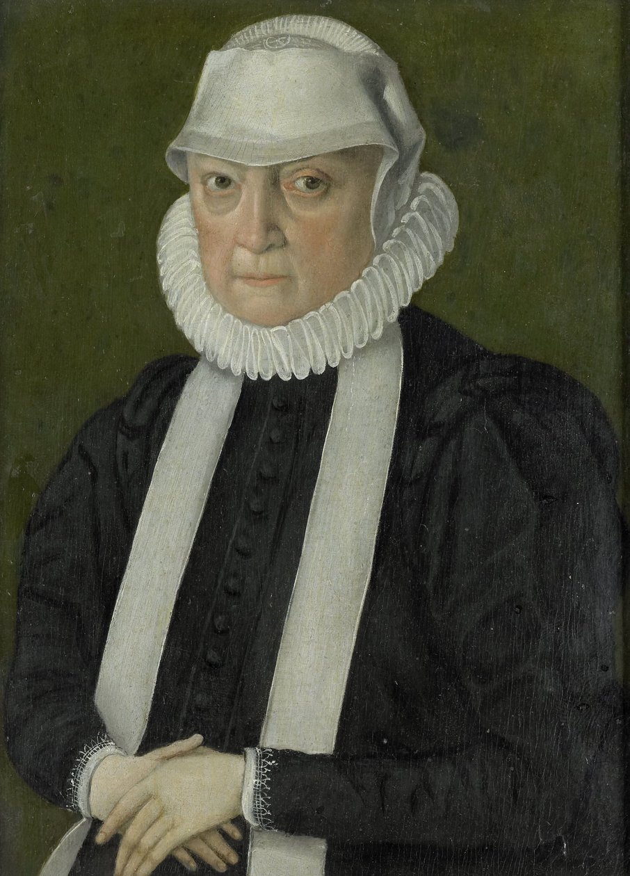 Portret kobiety, prawdopodobnie Anna Jagellonia, królowa Polski autorstwa anonymous (possibly)