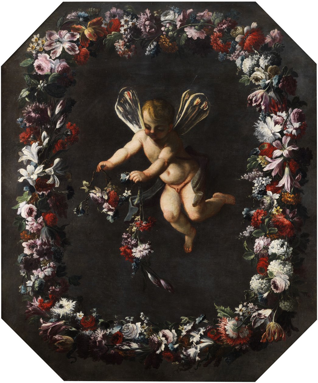 Putto z skrzydłami ważki w kwiatowym wieńcu. Olej na płótnie. 191 x 161 cm autorstwa attributed to Giovanni Stanchi Dei Fiori