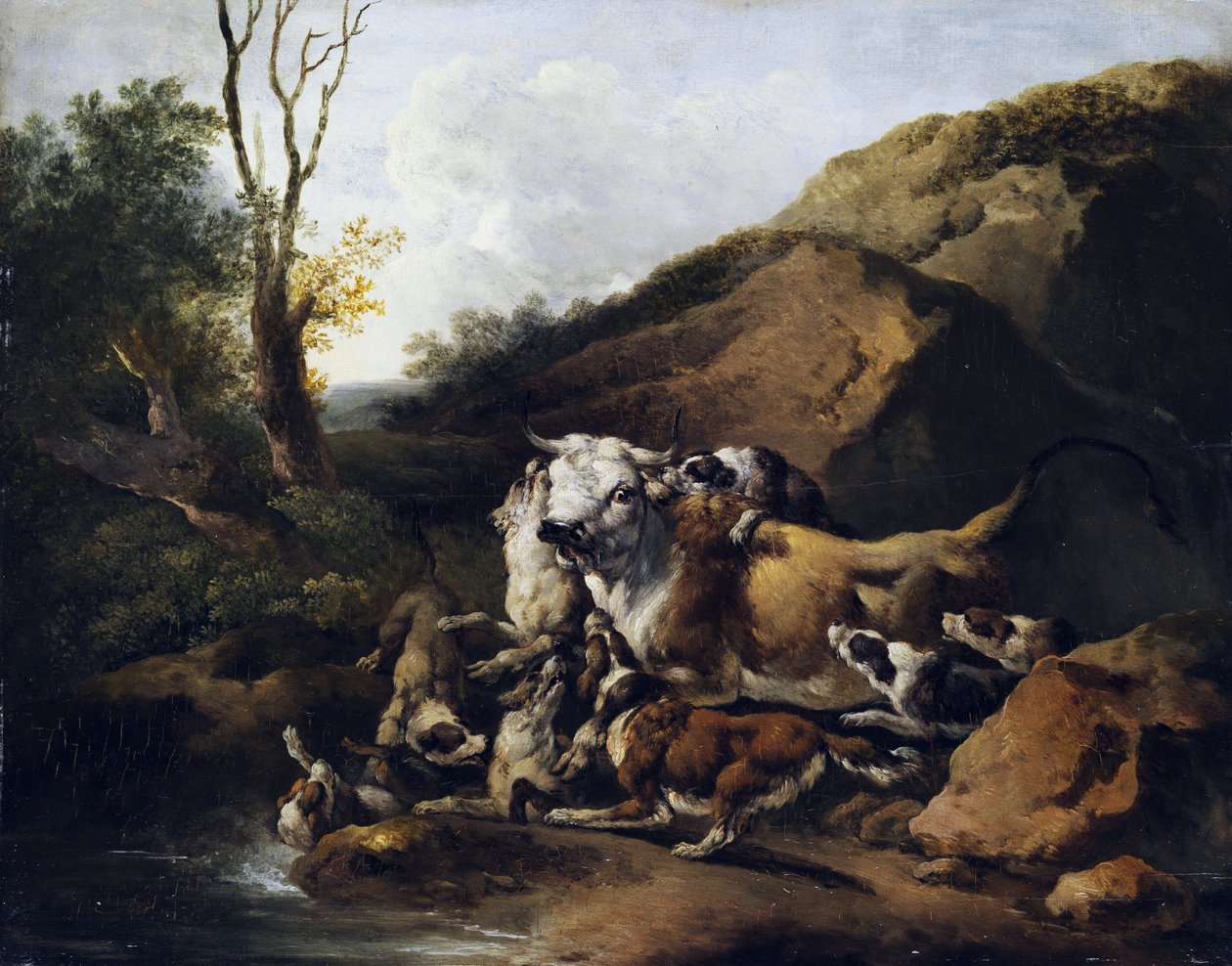 Tury walczące ze stadem psów myśliwskich autorstwa attributed to Johann Heinrich Roos