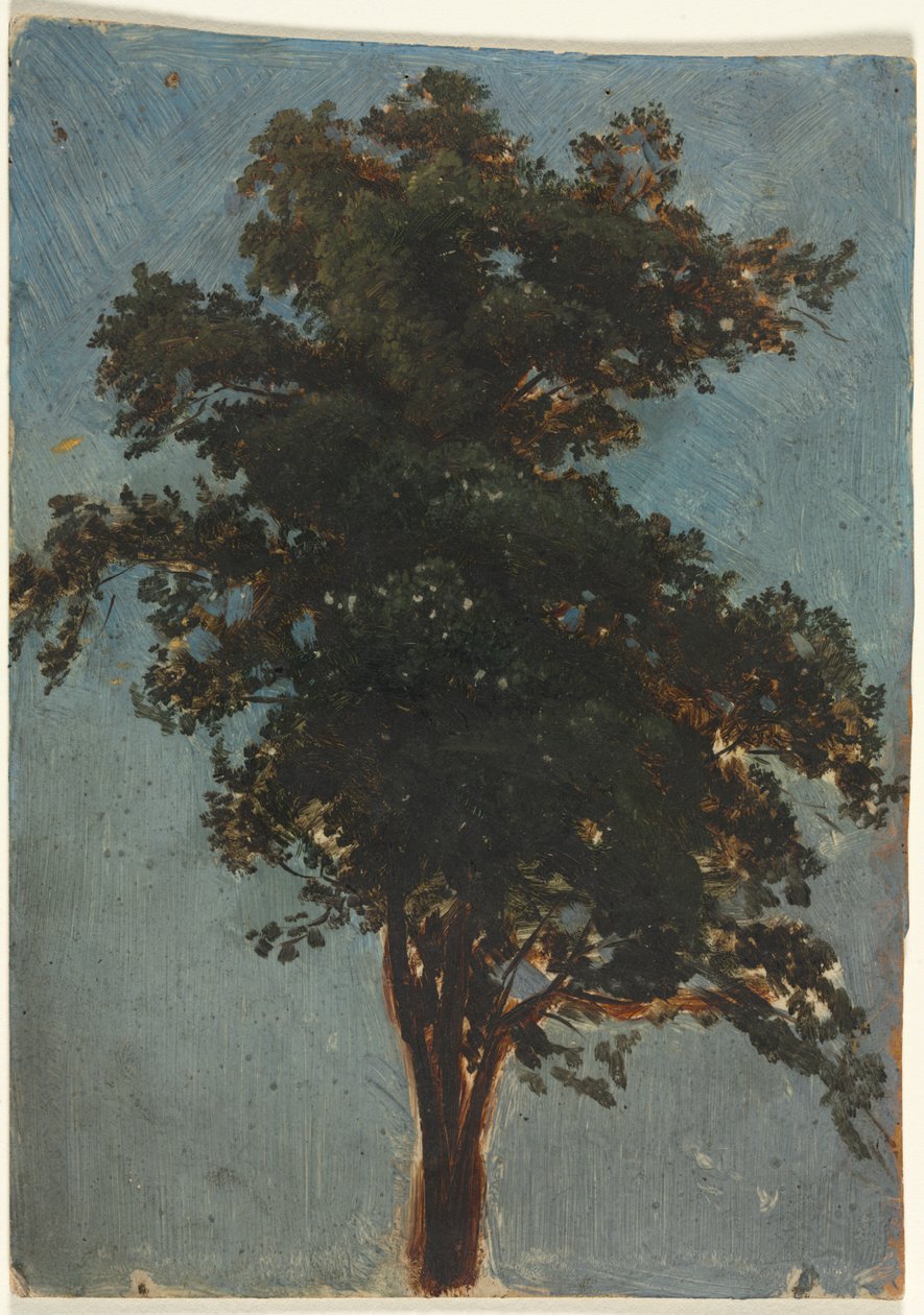 Badanie drzewa autorstwa attributed to Alexandre Calame