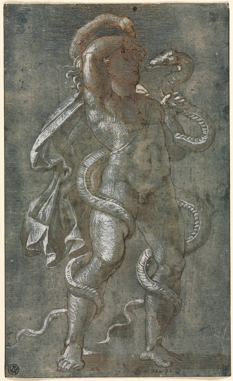 Człowiek spleciony przez dwa węże autorstwa attributed to Giovanni Antonio da Pordenone