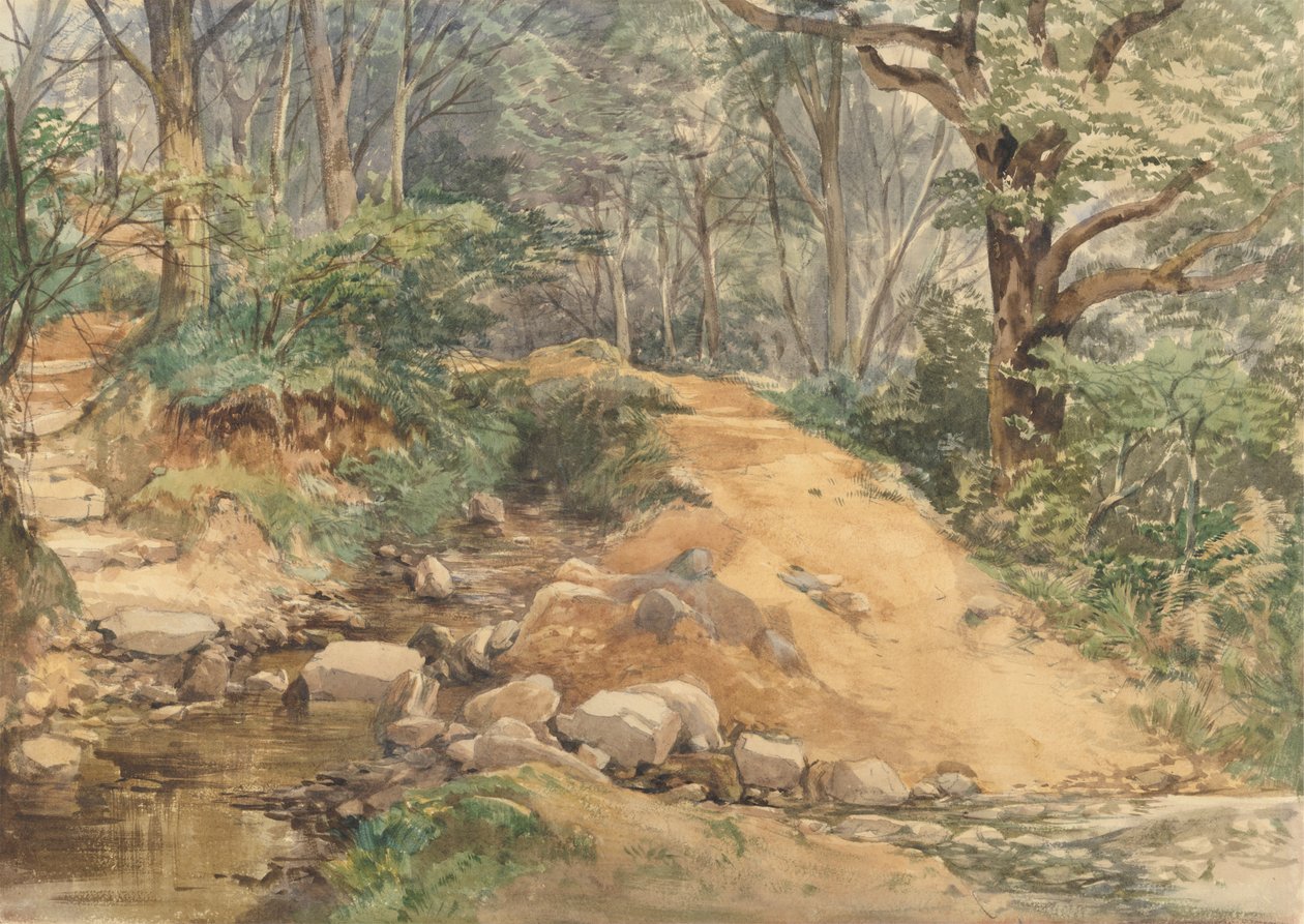 Leśna scena ze ścieżką przez strumień autorstwa attributed to John Middleton