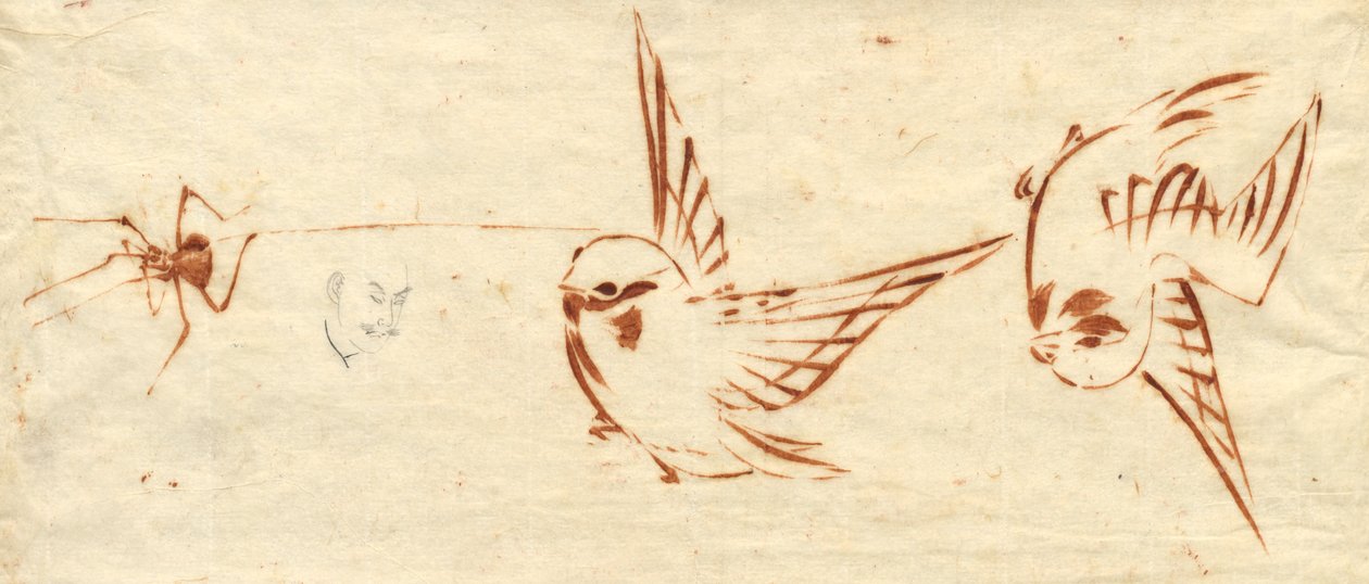 Strona szkicu z ptakami i pająkiem autorstwa attributed to Katsushika Hokusai