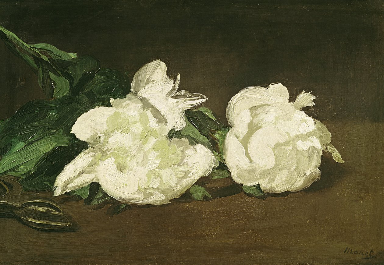Gałąź białych piwonii i sekatorów, 1864 autorstwa Édouard Manet