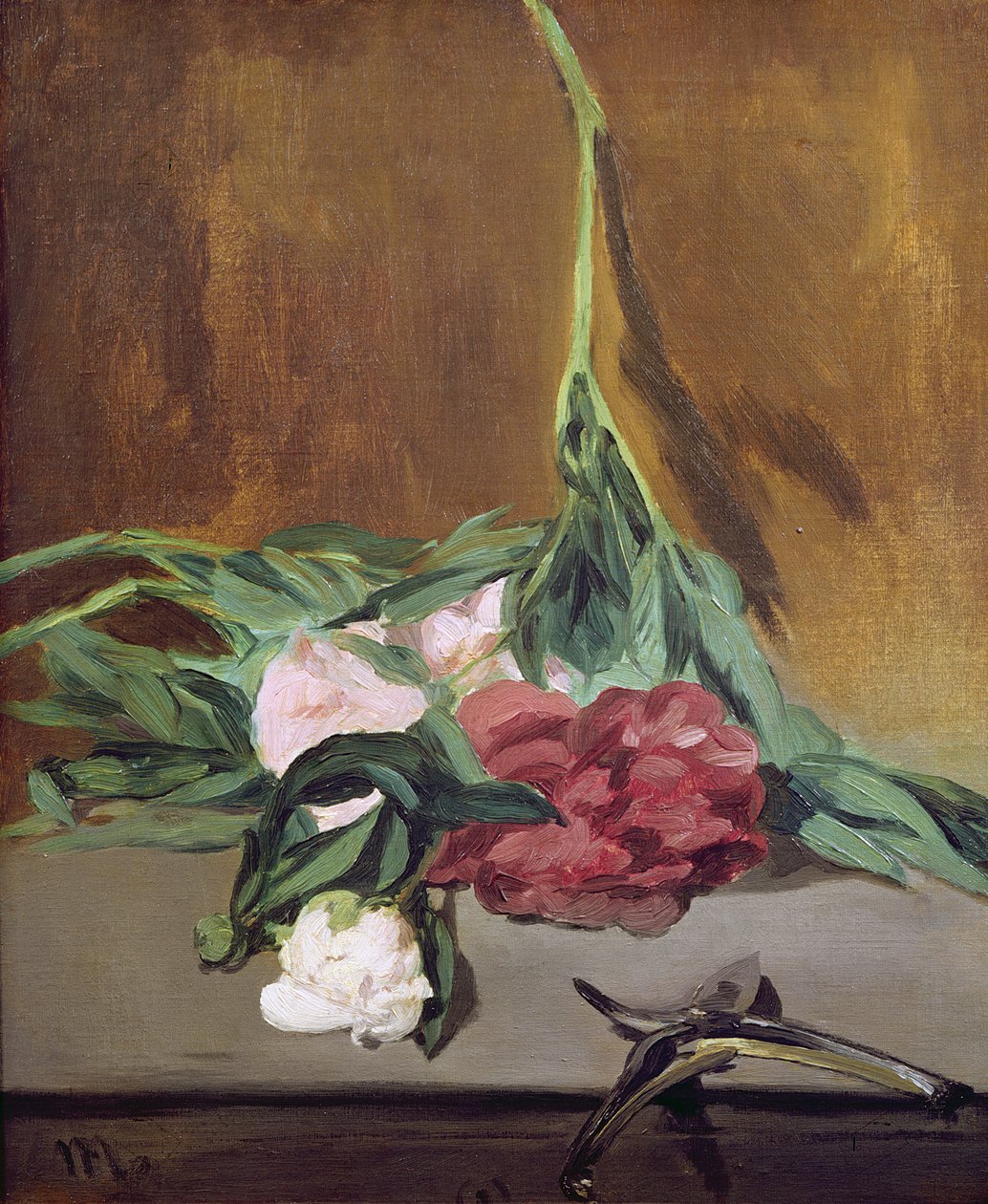 Łodyga piwonii i sekatorów, c.1864 autorstwa Édouard Manet