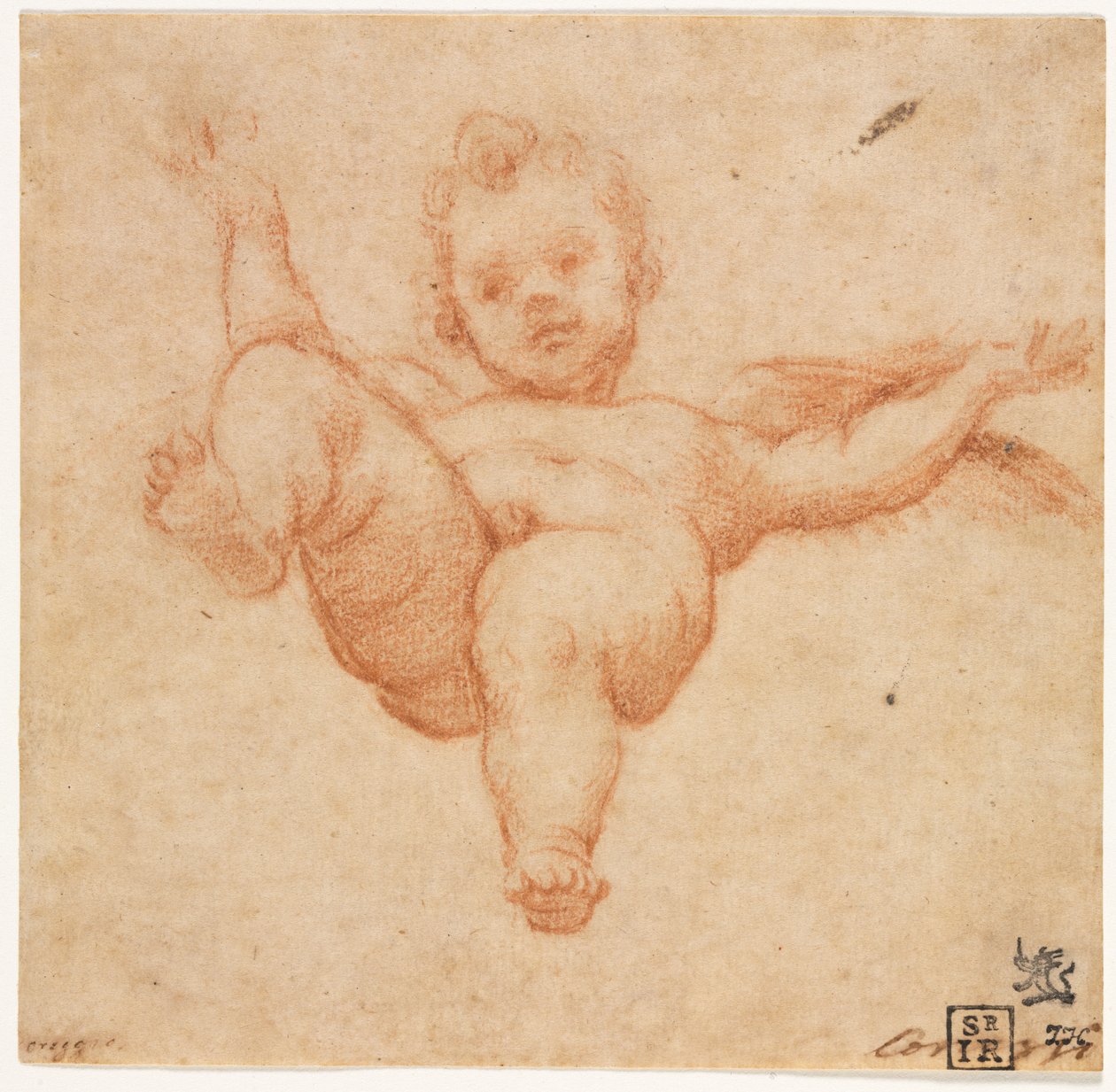 Latający Kupidyn autorstwa follower of Annibale Carracci