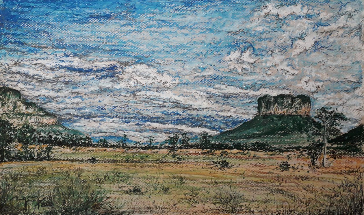 GRAN SABANA WENEZUELA autorstwa miguelmendez_art.ve