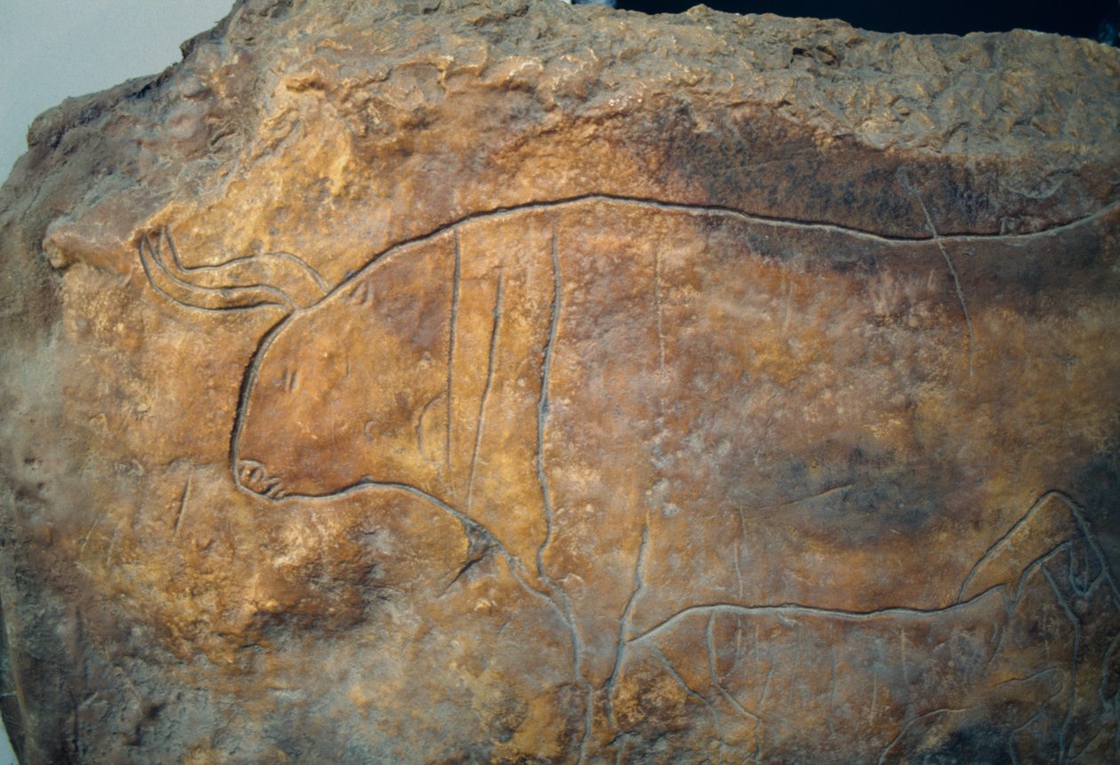Graffito przedstawiające byka. Starożytna cywilizacja grecka, Magna Graecia autorstwa Theodore Charles Ange Coquelin