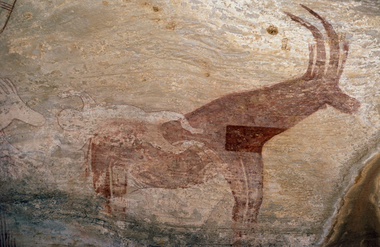 Zwierzę kopytne, malowidło jaskiniowe, Sefar, Tassili n