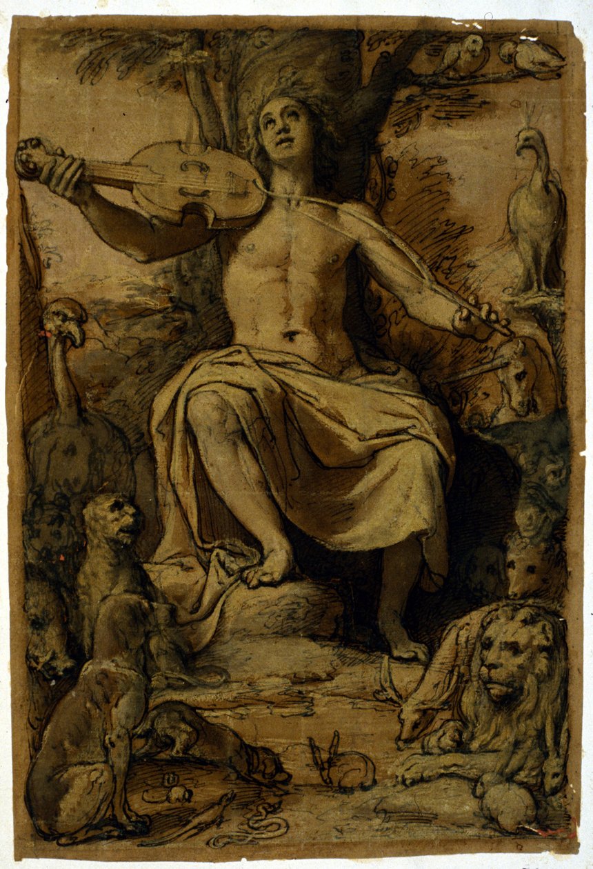 Orfeusz czarujący zwierzęta muzyką skrzypiec. Rysunek Federico Zuccari (1542-1609). autorstwa or Zuccaro Federico Zuccari