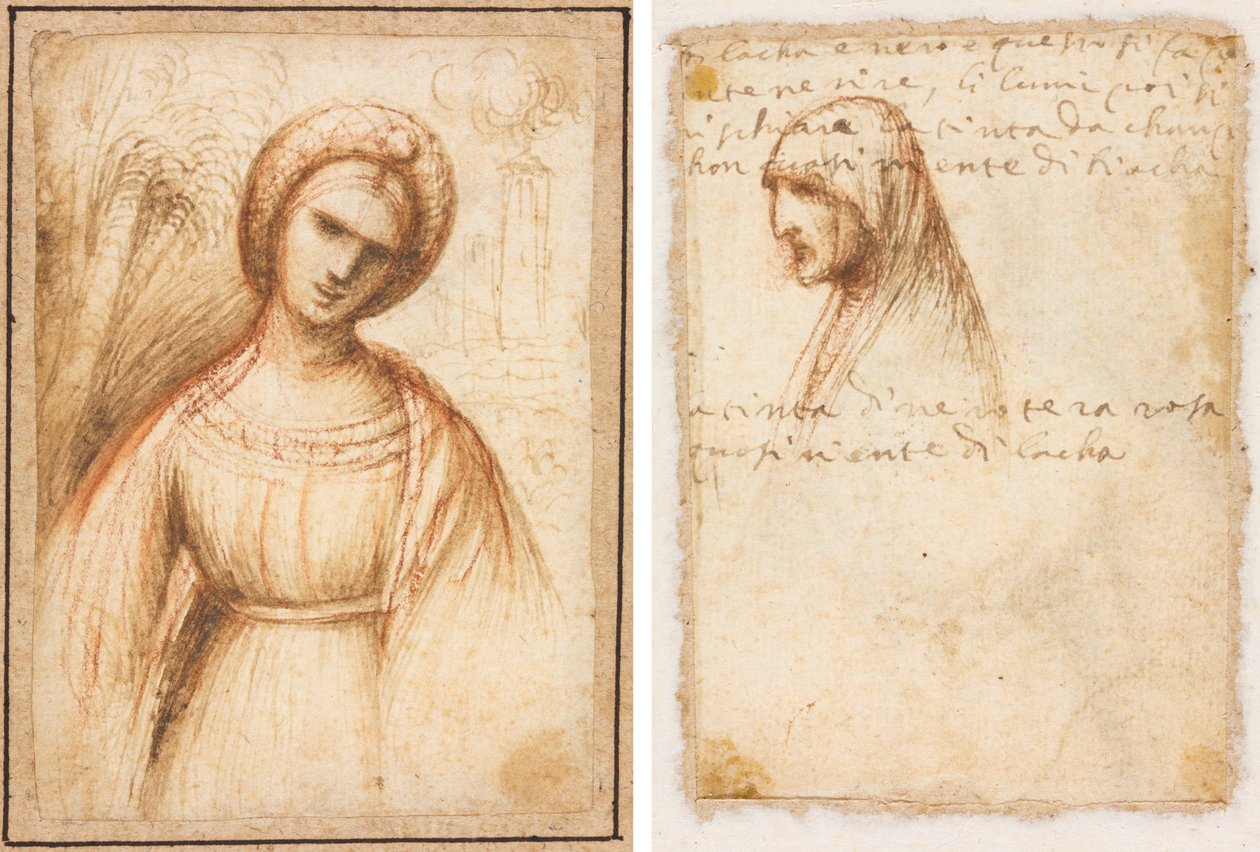 Dama w krajobrazie (recto); Profil długości biustu starej kobiety (verso) autorstwa possibly by Dosso Dossi