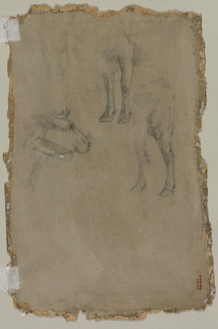 Studia byka (verso) autorstwa possibly by Johan Barthold Jongkind