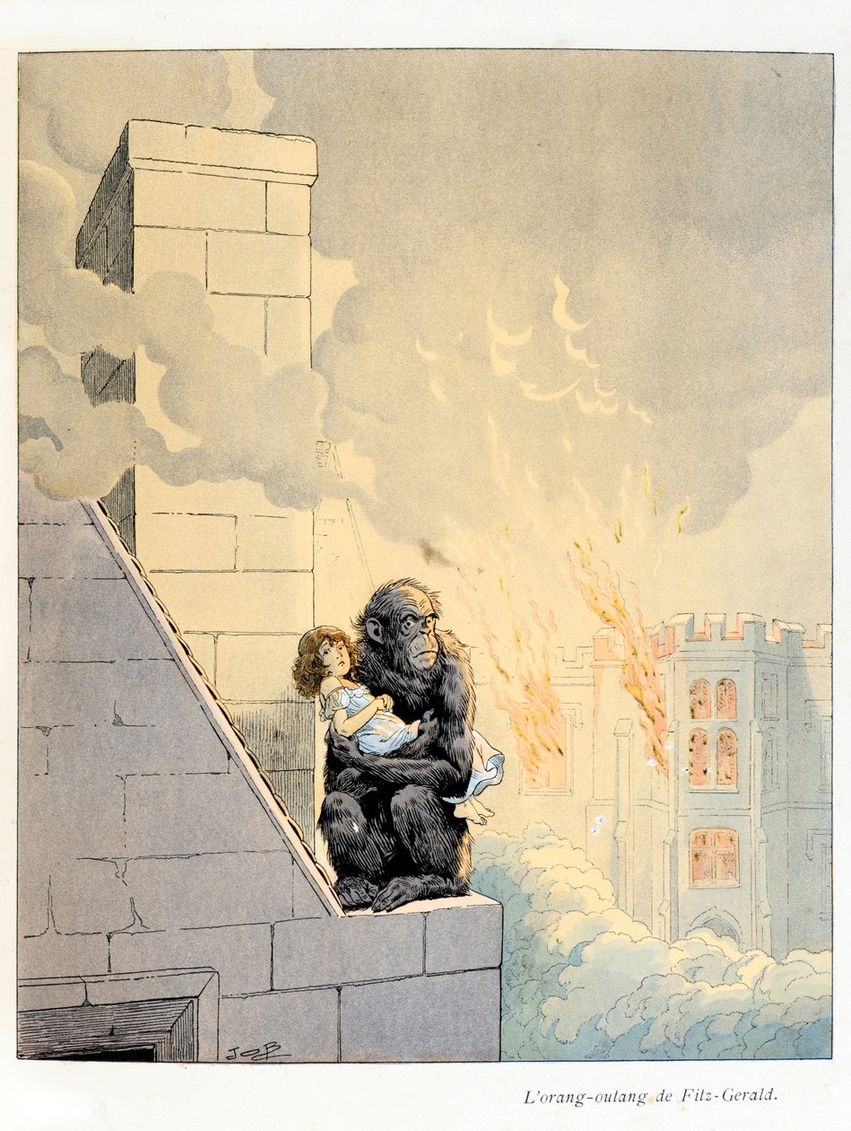 Ilustracja z książki „A la Glory des Betes” tekst A Fabre, rysunki Jacques Marie Gaston Onfray de Breville dit JOB (1858-1931), wydawca Maison Alfred Mame i syn: L’Orang Outan autorstwa Fitz-Geralda (Fitz Gerald) (książę Leicester, markiz Ki autorstwa pseudonym for Onfray de Breville Jacques Job