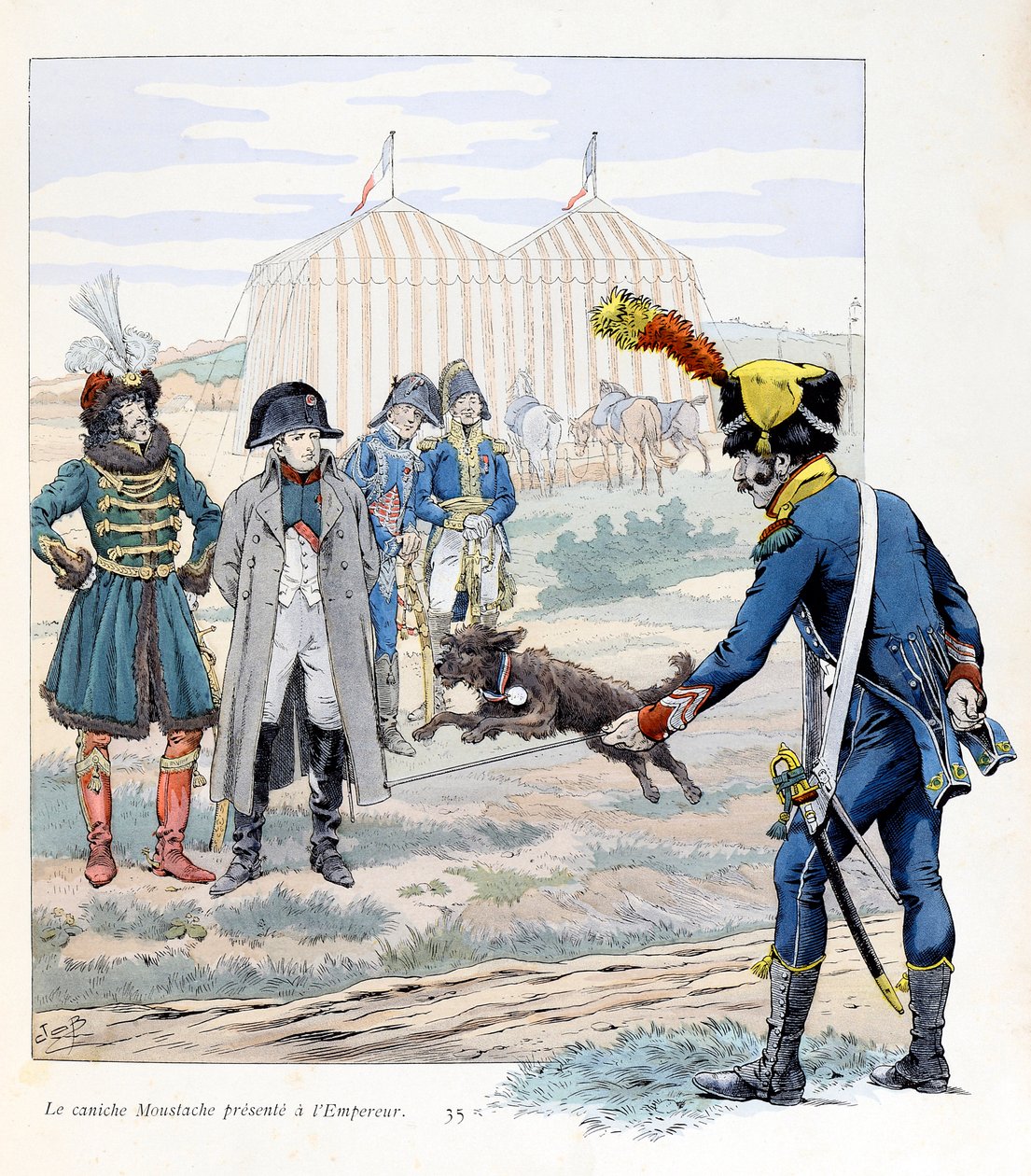 Ilustracja z książki „A la gloire des betes”” tekst A Fabre, rysunki Jacques Marie Gaston Onfray de Breville dit JOB (1858-1931), wydawca Maison Alfred Mame et fils: Pudel wąsy podarowany cesarzowi (Napoleonowi I ) (ocalił flagę autorstwa pseudonym for Onfray de Breville Jacques Job