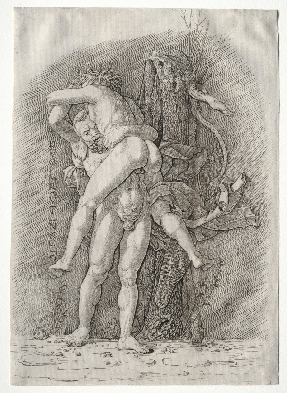 Herkules i Anteusz autorstwa school of Andrea Mantegna