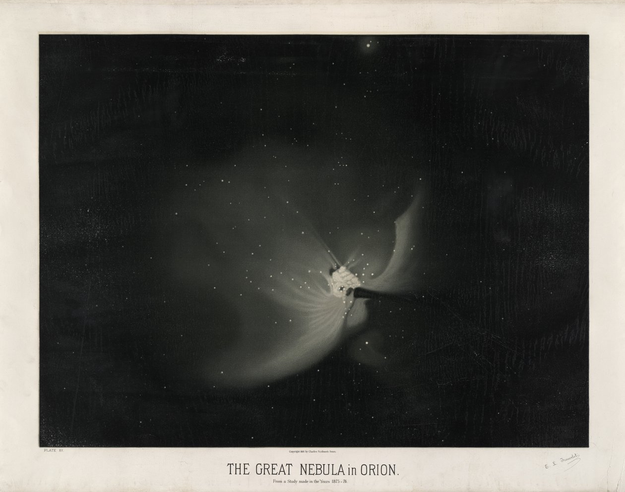 Wielka mgławica w Orionie. Z badań wykonanych w latach 1875-76. (Płyta XV z Rysunków astronomicznych Trouvelot 1881-1882) autorstwa Étienne Léopold Trouvelot