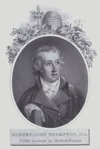 Robert John Thornton (lito) autorstwa (after) English School