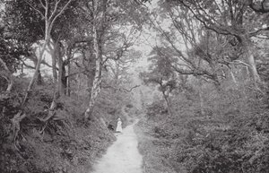 Fairlight Glen (zdjęcie czarno-białe) autorstwa (after) English photographer