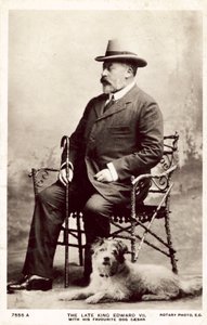 Nieżyjący już król Edward VII z tym ulubionym psem Cezarem (czarno-białe zdjęcie)