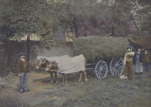 Attelage Bearnais (kolorowe zdjęcie) autorstwa (after) French Photographer