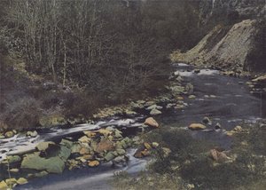 Gorges de la Cere w pobliżu Laval de Cere (kolorowe zdjęcie) autorstwa (after) French Photographer