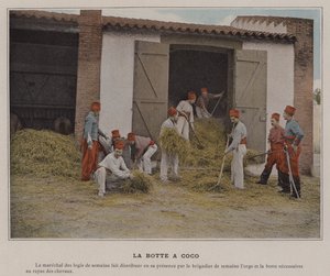 La Botte a Coco (kolorowe zdjęcie) autorstwa (after) French Photographer