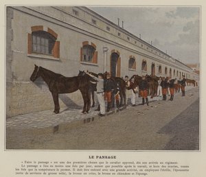 Pielęgnacja (kolorowe zdjęcie) autorstwa (after) French Photographer