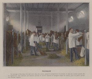 Pansage (kolorowe zdjęcie) autorstwa (after) French Photographer