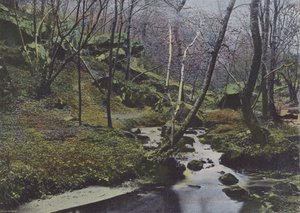 Vaux de Cernay, Les Cascades (kolorowe zdjęcie) autorstwa (after) French Photographer