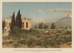 Villa Ferrigni, niedaleko Neapolu (kolorowa litografia) autorstwa (after) German School