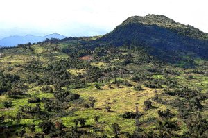 Cebu Hills autorstwa Detlef B. Fischer