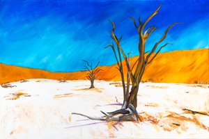 Dead Vlei