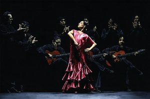 Dumna tancerka flamenco