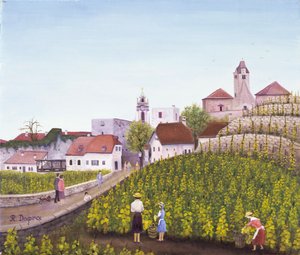Winobranie w Dürnstein