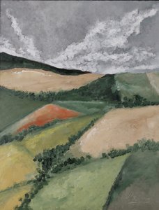 Żywopłoty między polami autorstwa M. Vet