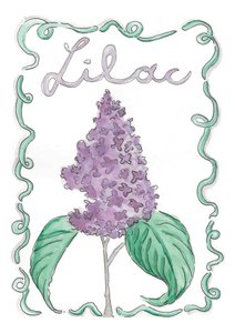 autorstwa june art