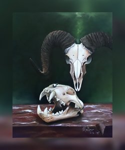 Memento mori (Studium czaszek zwierzęcych)