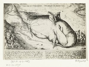 Odcisk wyrzuconego wieloryba w pobliżu Antwerpii, 2 lipca 1577 r. autorstwa A.B. van Deinse