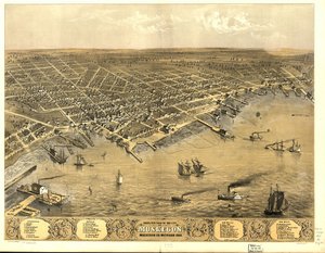 Widok z lotu ptaka na miasto Muskegon, Muskegon Co., Michigan 1868.