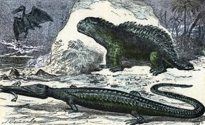 Prehistoria: przedstawienie teleozaura (wydłużający się pysk) i hileozaura z okresu jurajskiego” (Prehistoria, jura: teleozaur i hilaeozaur) Rycina z „” Natura i człowiek”” Rengade 1881 Zbiory prywatne