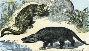 Prehistoria: przedstawienie iguanodona i megalozaura z okresu kredy