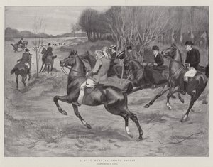 Drag Hunt w Epping Forest