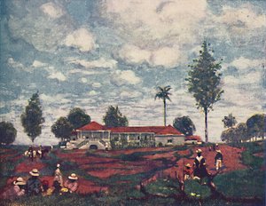 Farma kawy, 1916 autorstwa A. S. Forrest